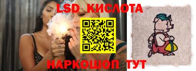 гидропоника Вязьма