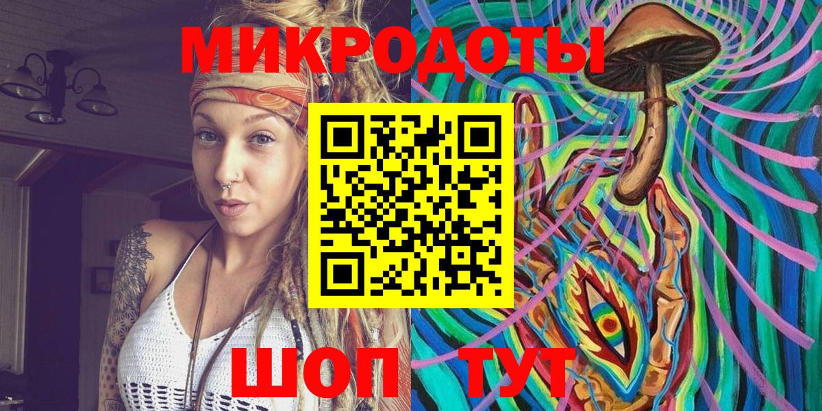 Камышлов  Галлюциногенные грибы Psilocybe  Вход с VPN 